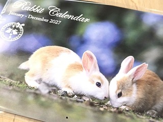 ご自宅でも大久野島のうさぎに癒される！2027年うさぎのカレンダーGET！！宿泊プラン