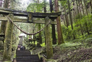 【お得な滞在・お一人様も同料金】<br>２連泊”月・水・金は観光地送迎”付きプラン