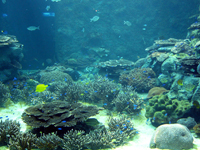 串本海中公園