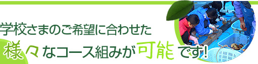 学校さまのご希望に合わせた様々なコース組みが可能です！