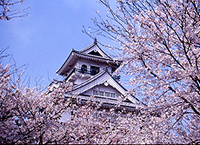 長浜城歴史博物館