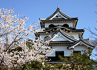 彦根城