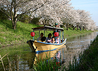 水郷めぐり