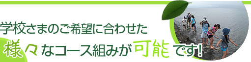 学校さまのご希望に合わせた様々なコース組みが可能です！