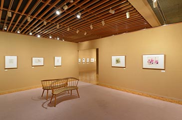 木のぬくもりあふれる展示室