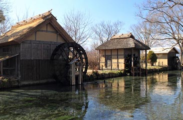 大王わさび農場