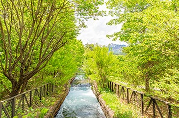 国営アルプスあづみの公園