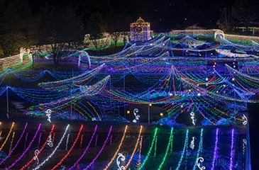 国営アルプスあづみの公園 イルミネーション堀金・穂高地区