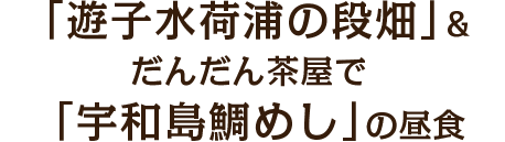 「遊子水荷浦の段畑」＆だんだん茶屋で「宇和島鯛めし」の昼食