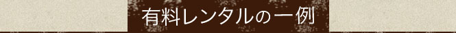 有料レンタルの一例