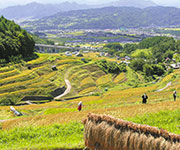 休暇村嬬恋鹿沢
