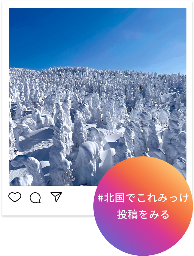 みんなの投稿を見てみよう！もちろん複数のハッシュタグをつけてもOK！こちらをクリック