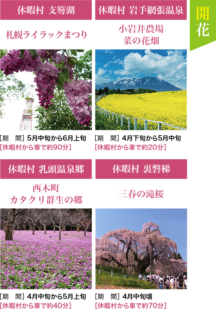 開花 休暇村 裏磐梯 三春の滝桜 [期間]4月中旬頃 [休暇村から車で約70分] / 休暇村 乳頭温泉郷 西木町 カタクリ群生の郷 [期間]4月中旬から5月上旬 [休暇村から車で約40分] / 休暇村 岩手網張温泉 小岩井農場 菜の花畑 [期間]4月下旬から5月中旬 [休暇村から車で約20分] / 休暇村 支笏湖 札幌ライラックまつり [期間]5月中旬から6月上旬 [休暇村から車で約90分]