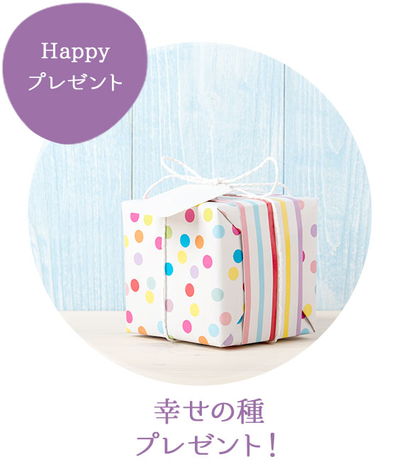 幸せの種プレゼント！