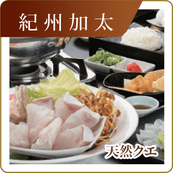 紀州加太　天然クエ