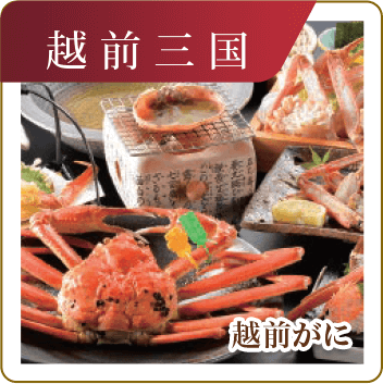 越前三国　越前がに