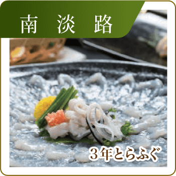 南淡路　3年とらふぐ