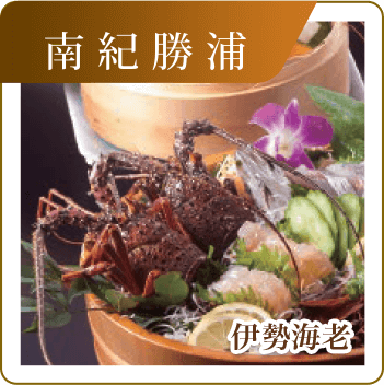南紀勝浦　伊勢海老
