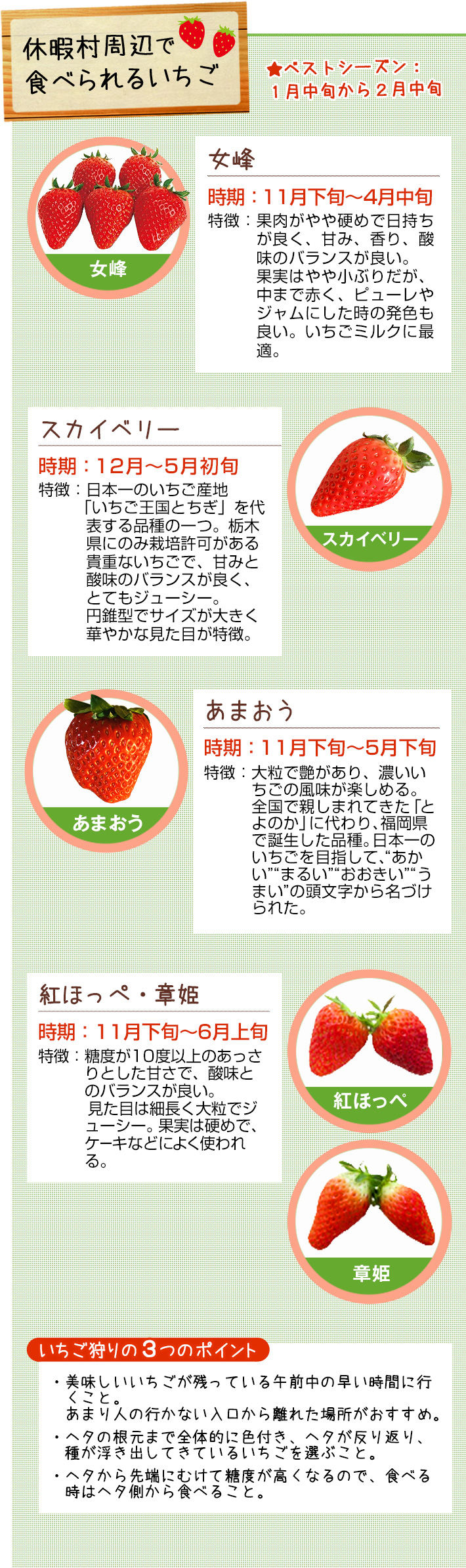 休暇村周辺で 食べられるいちご