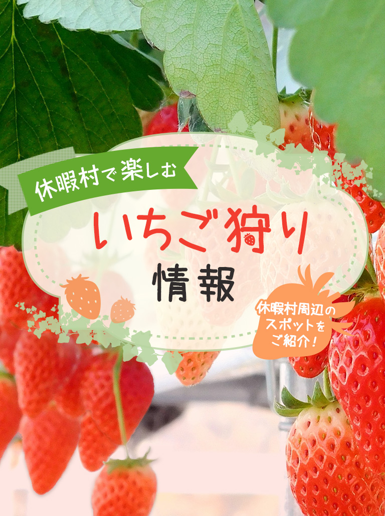 休暇村で楽しむ いちご狩り 情報 休暇村周辺の スポットを ご紹介!