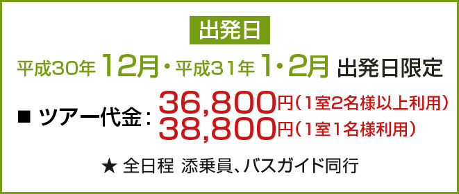 出発日 平成30年12月・平成31年1月・2月出発日限定