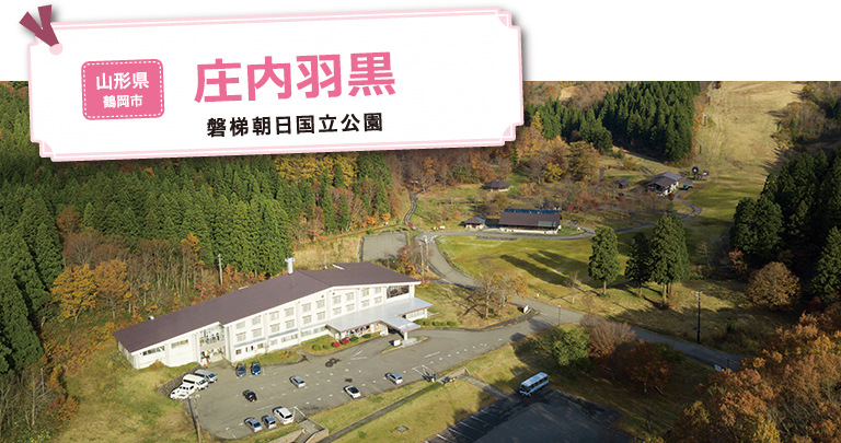 庄内羽黒