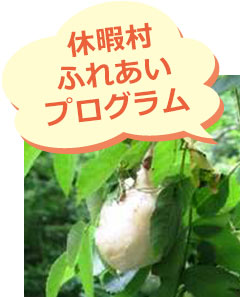 休暇村のふれあいプログラム