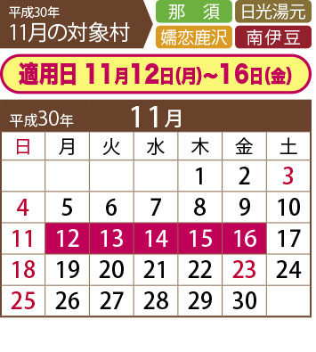 11月