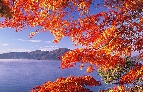 田沢湖