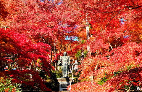 東郷公園