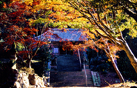 成相寺