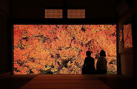 安国寺