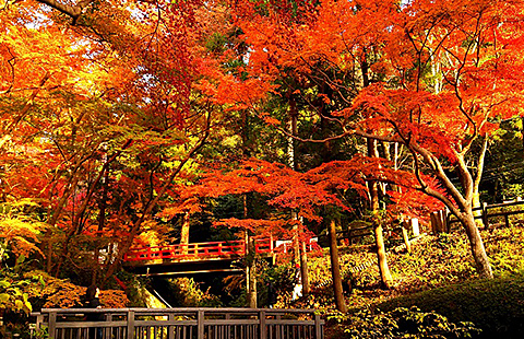 根来寺