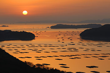 カキの海／河口　毅
