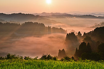 雲海と棚田／坂本　隆