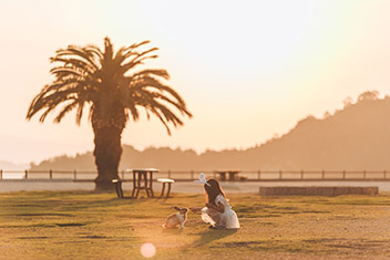 私とうさぎと夕日と…／杉本　沙希