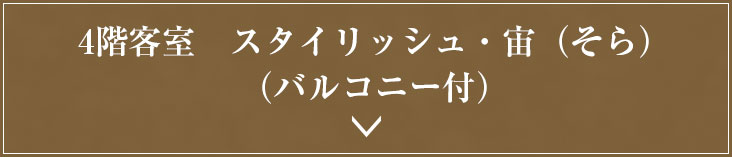 スタイリッシュ・宙（そら）