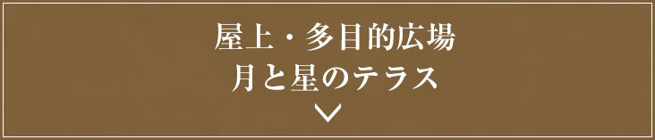 月と星のテラス