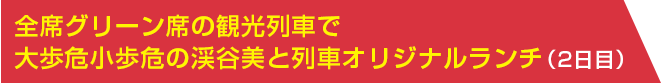 全席グリーン席の観光列車で大歩危小歩危の渓谷美と列車オリジナルランチ（2日目）