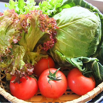 高原野菜