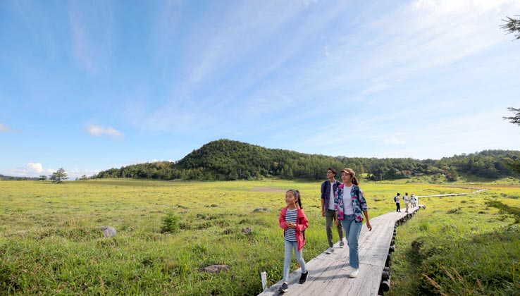 お散歩・登山・ハイキング