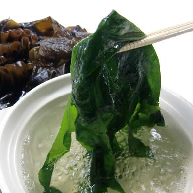 ワカメ