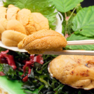 三陸産生うに