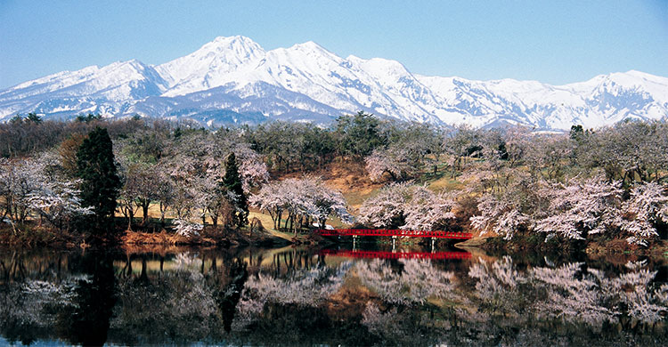 観光地から探す 観光案内