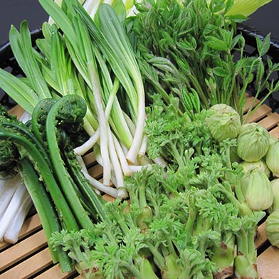 山菜