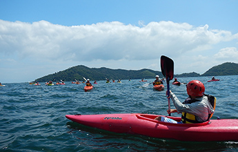 季節限定の初夏の風物詩 ホタルを見て夏を感じる