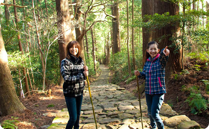 熊野古道 大門坂を歩こうの画像