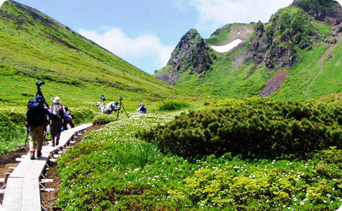 秋田駒ヶ岳ハイキングの画像