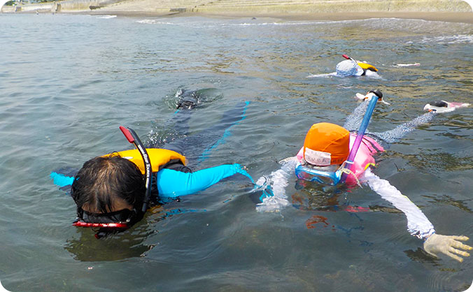 ～最高の景色を眺めながら～ 穏やかな錦江湾で海さんぽ！初心者向けシュノーケリング体験の画像