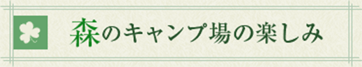 森のキャンプの楽しみ